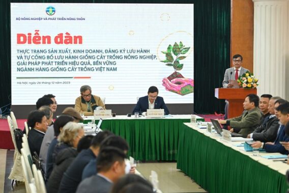 Cần cải tiến trong chính sách phát triển giống cây trồng - Ảnh 1.