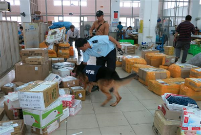 Chó nghiệp vụ - ‘trợ thủ’ đắc lực của hải quan trong phòng chống ma túy- Ảnh 2. Chó nghiệp vụ - ‘trợ thủ’ đắc lực của hải quan trong phòng chống ma túy- Ảnh 2.