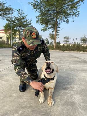 Chó nghiệp vụ - ‘trợ thủ’ đắc lực của hải quan trong phòng chống ma túy- Ảnh 5. Chó nghiệp vụ - ‘trợ thủ’ đắc lực của hải quan trong phòng chống ma túy- Ảnh 5.