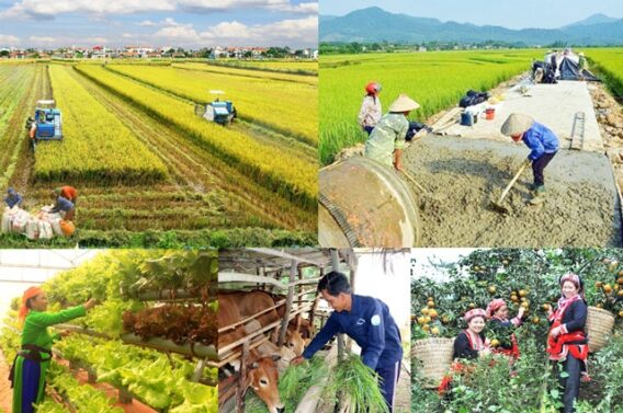 Xây dựng chính sách đặc thù để tháo gỡ khó khăn, đẩy nhanh tiến độ thực hiện các Chương trình mục tiêu quốc gia- Ảnh 1.