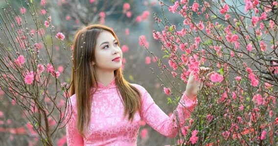 tet2024 17006520500591129788262