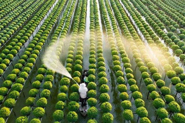Giảm để tăng trong nông nghiệp, hướng đến một tương lai xanh và bền vững- Ảnh 1.