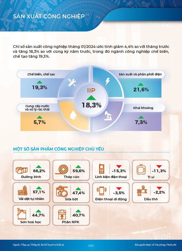 INFOGRAPHICS: Con tàu kinh tế tháng 1/2024 'chuyển động' mạnh mẽ- Ảnh 8.