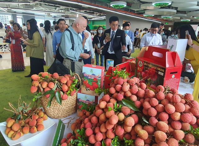 'Giấy thông hành' cho các sản phẩm xuất khẩu tiềm năng- Ảnh 2.
