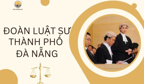 luat su da nang