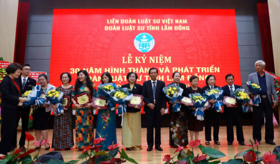 luat su tinh lam dong