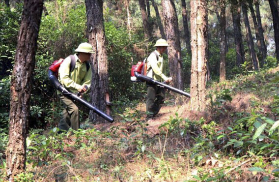 Thời tiết ngày 19/4: Nắng nóng nhiều nơi trên cả nước- Ảnh 1.
