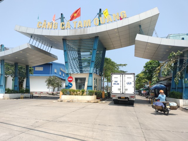 Quảng Nam tăng cường tuần tra trên biển, xử lý nghiêm tàu cá vi phạm IUU- Ảnh 2.