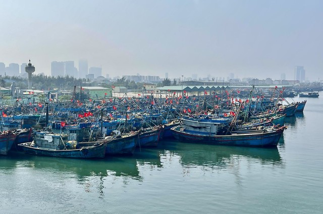 Ngư dân Đà Nẵng chung tay gỡ 'thẻ vàng' khai thác IUU- Ảnh 3. Ngư dân Đà Nẵng chung tay gỡ 'thẻ vàng' khai thác IUU- Ảnh 3.