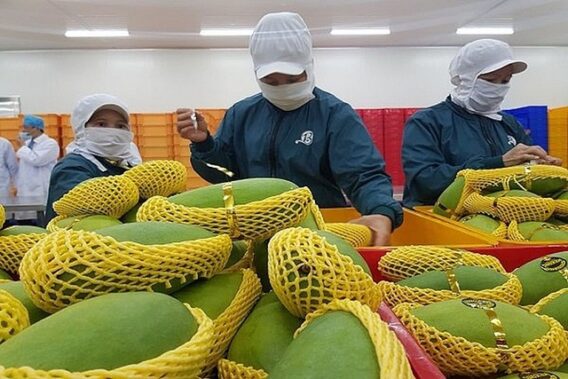 Xuất khẩu hàng hóa tăng trưởng ấn tượng- Ảnh 1.