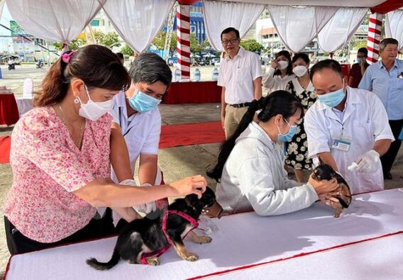 Bến Tre tập trung các giải pháp phòng chống bệnh dại- Ảnh 1.