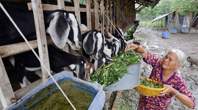 Bình Thuận: Lan tỏa phong trào gửi tiết kiệm chung tay vì người nghèo- Ảnh 3. Bình Thuận: Lan tỏa phong trào gửi tiết kiệm chung tay vì người nghèo- Ảnh 3.