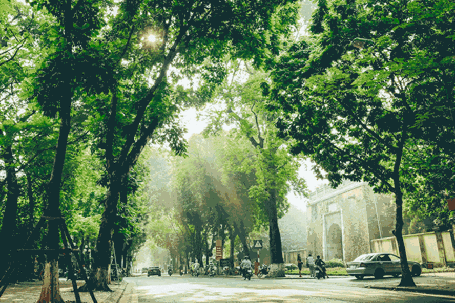 Xuất hiện đợt không khí lạnh 'giải nhiệt' cho Bắc và Trung Bộ- Ảnh 1.