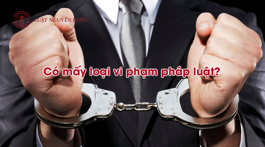 Vi phạm pháp luật là gì? Các dấu hiệu của vi phạm pháp luật 4 Có mấy loại vi phạm pháp luật?