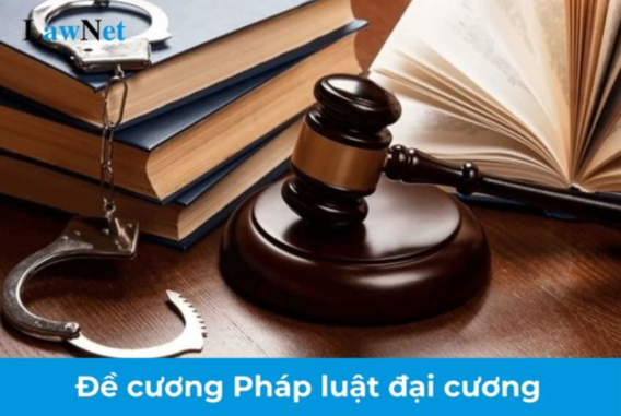 Tổng hợp kiến thức Pháp luật đại cương 2021 – Cẩm nang học tập hiệu quả 2 de cuong on tap phap luat dai cuong 2021