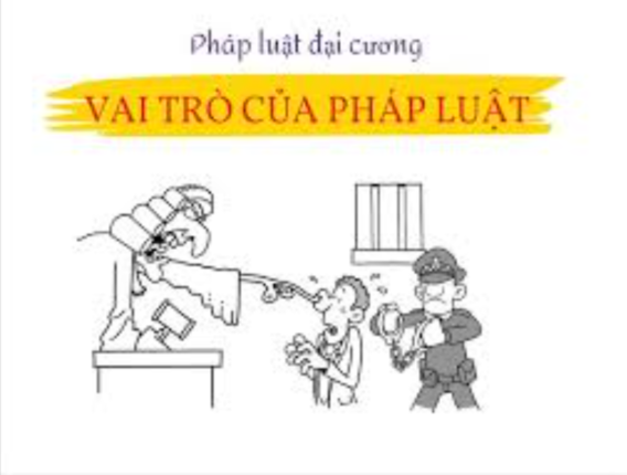 Pháp Luật Đại Cương Là Gì? Kiến Thức Cơ Bản Cần Biết 2 vai tro cua phap luat dai cuong