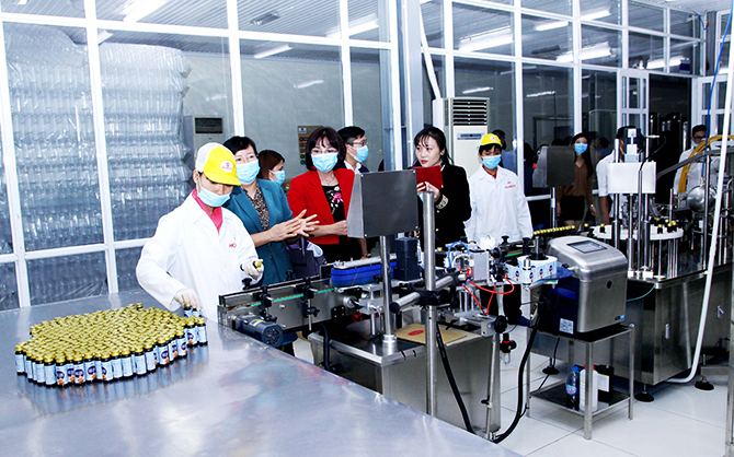 Công Ty Cổ Phần Ong Tam Đảo Sự Khác Biệt Trong Lĩnh Vực Nuôi Ong Và Sản Xuất Mật Ong 1 Quy trình thu hoạch mật ong tại Công ty Cổ phần Ong Tam Đảo